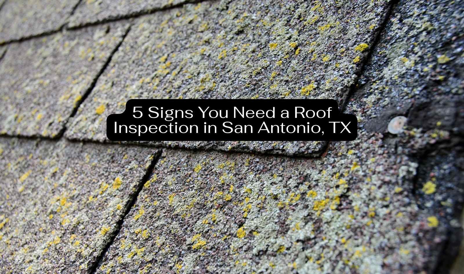 5 Signs You Need a Roof Inspection in San Antonio, TX