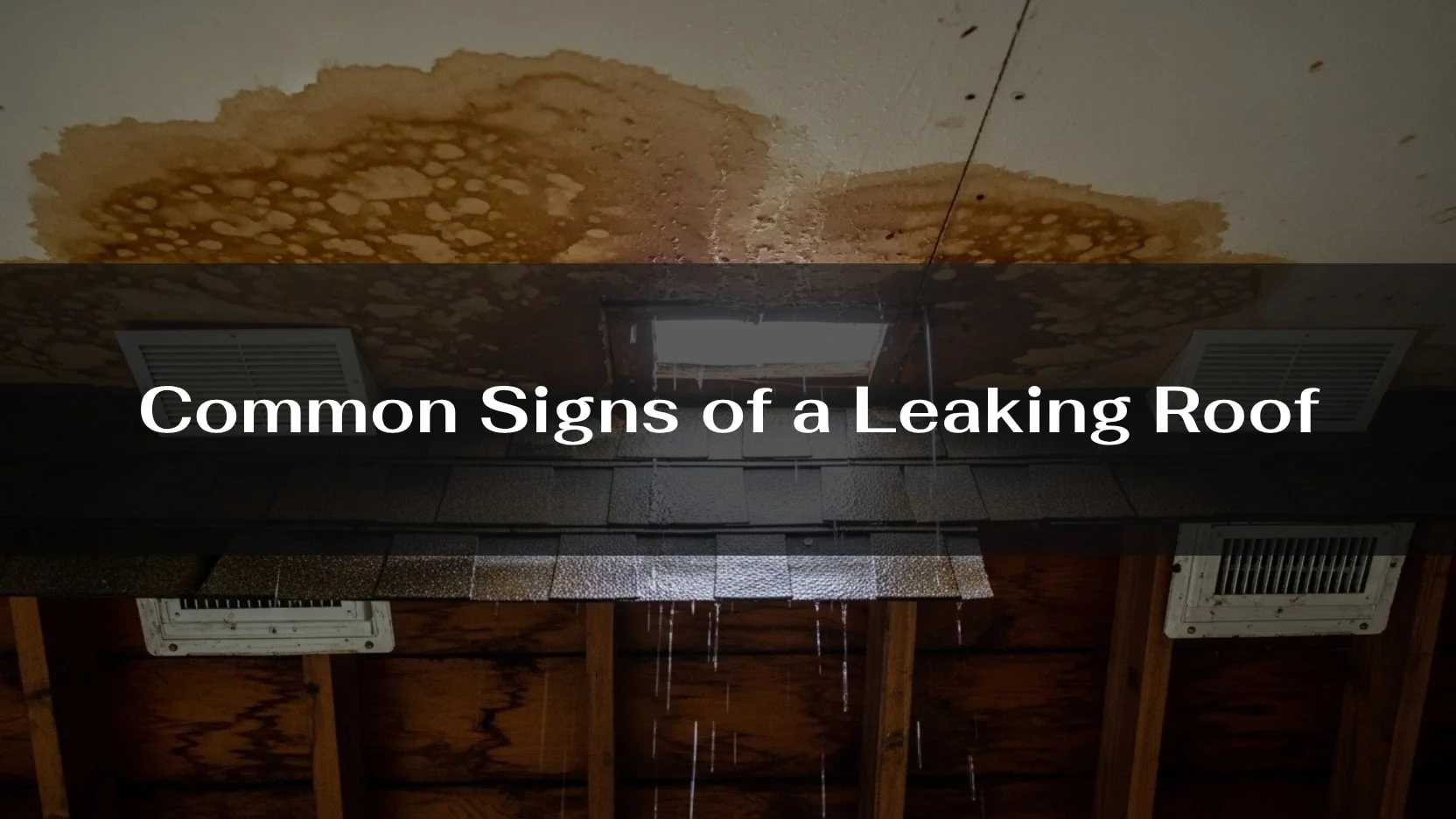 Signs of a Leaking Roof and What to Do