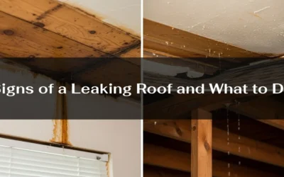 Signs of a Leaking Roof and What to Do