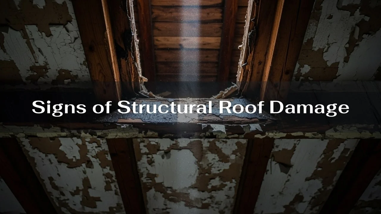 Roof Damage